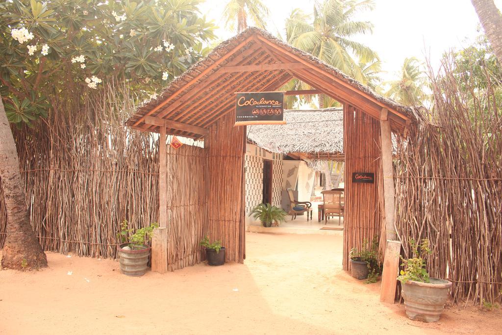 Cocodance Kitesurfing Resort Калпития Екстериор снимка