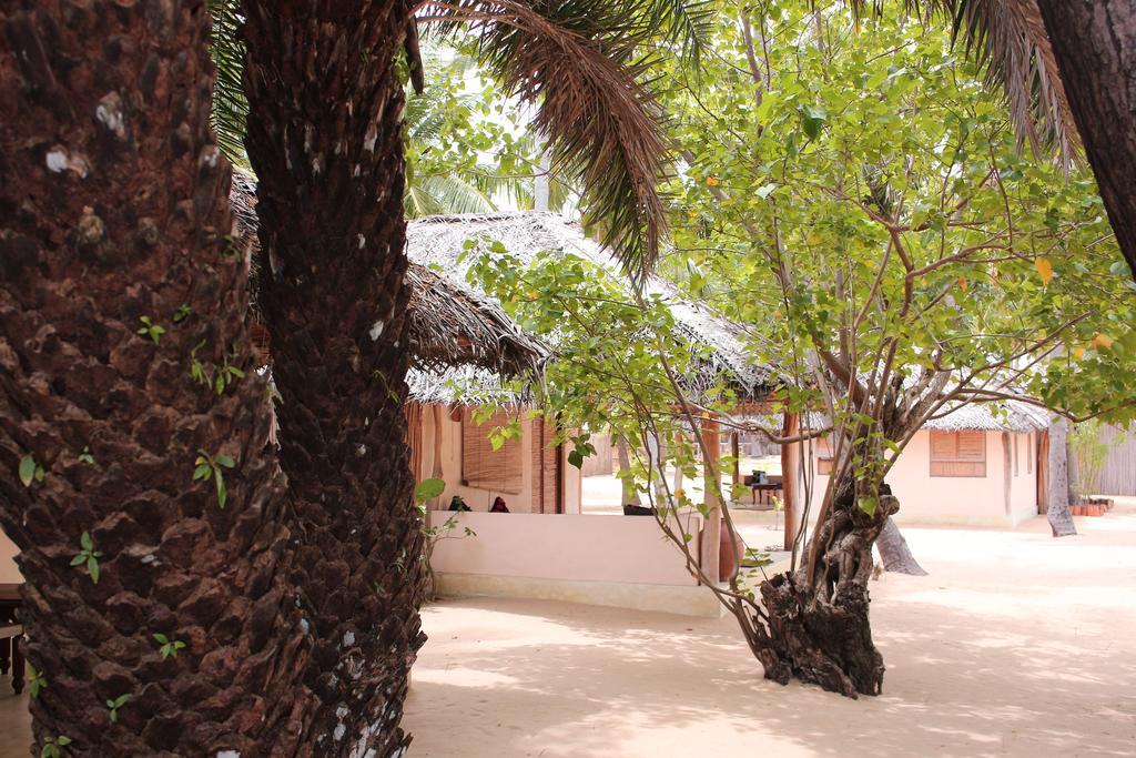 Cocodance Kitesurfing Resort Калпития Екстериор снимка
