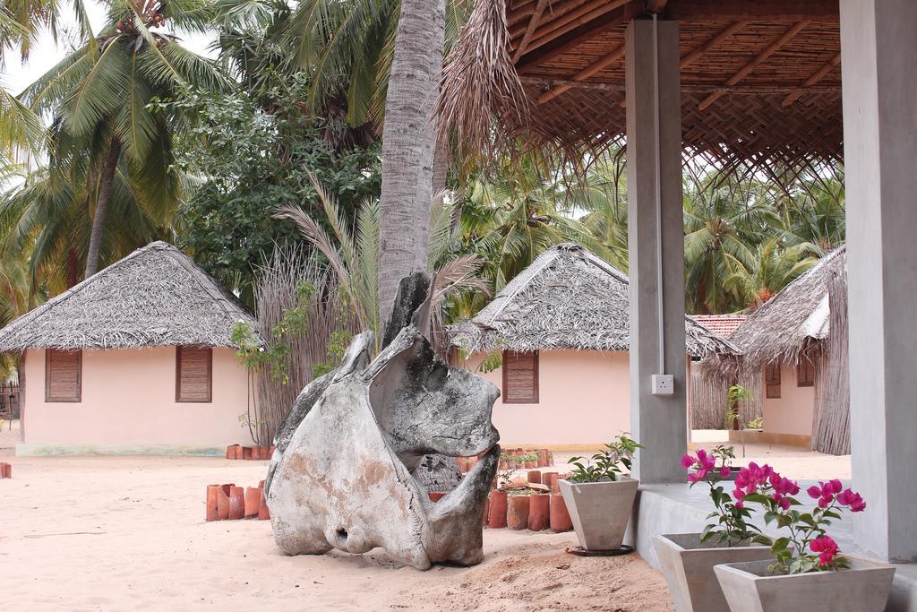 Cocodance Kitesurfing Resort Калпития Екстериор снимка