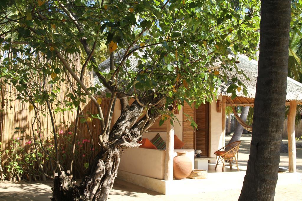 Cocodance Kitesurfing Resort Калпития Екстериор снимка