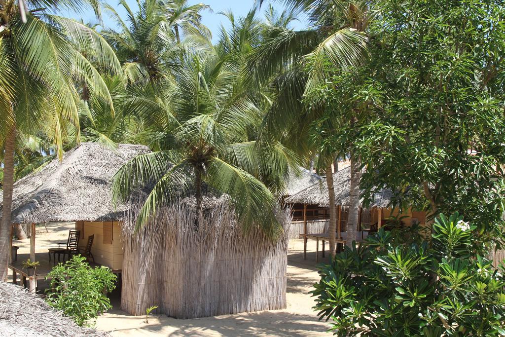 Cocodance Kitesurfing Resort Калпития Екстериор снимка